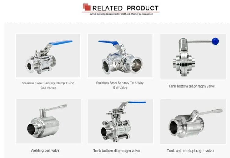 ISO Sanitary Stainless Steel SS304/SS316L Three-Piece Welded Ball Valve&Globe Valve Rq0103