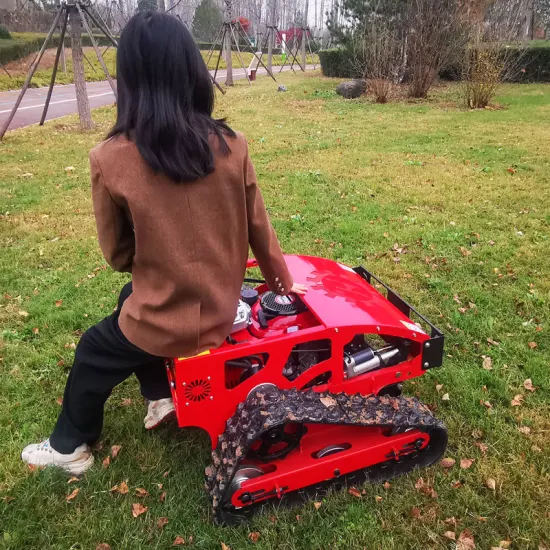 Tondeuse de jardin commerciale coupe gazon chariot fléau robot tondeuse à gazon et accessoires